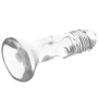 Xray Clear Dildo Transparente 12x2.6 cm