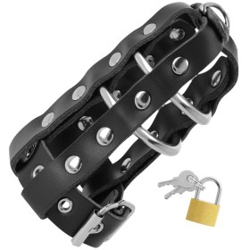 JAULA CASTIDAD CUERO CON CANDADO por sólo 31,96 €