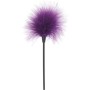 FANTASTIC PURPLE KIT DE JUGUETES SEXUALES por sólo 31,99 €
