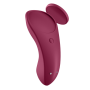 SATISFYER SEXY SECRET PANTY por sólo 39,96 €
