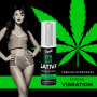 PULSE GEL SATIVA VIBRACIÓN EXTREMA PREMIUM 6ML por sólo 15,16 €