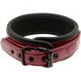 FETISH SUBMISSIVE DARK ROOM COLLAR CON CADENA por sólo 22,36 €