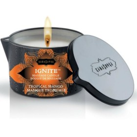 KAMASUTRA VELA DE MASAJE MANGO TROPICAL 170 GR por sólo 15,96 €