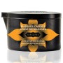KAMASUTRA VELA DE MASAJE COCONUT Y PIÑA 170GR por sólo 15,96 €