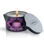 KAMASUTRA VELA DE MASAJE ISLA DE LA PASION 170GR por sólo 15,96 €