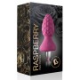 ROCKS-OFF ASSBERRIES RASPBERRY PLUG ANAL por sólo 23,99 €