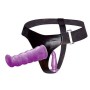 ARNES ANAL Y VAGINAL FEMENINO LILA PUNTO G 17CM por sólo 23,96 €