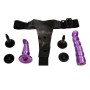 ARNES ANAL Y VAGINAL FEMENINO LILA PUNTO G 17CM por sólo 23,96 €