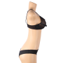 QUEEN LINGERIE SET DOS PIEZAS PLUS SIZE por sólo 20,76 €