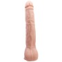 BEAUTIFUL ENCOUNTER DICK DILDO REALISTICO FLEXIBLE por sólo 17,56 €