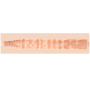 FLESHJACK - COLBY KELLER LUMBERJACK ANO MASTURBATOR sólo 79.95€