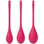 SATISFYER YONI POWER 1 KIT DE ENTRENAMIENTO ROJO por sólo 15,96 €