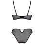 PASSION ZINNIA BIKINI ECO COLLECTION L/XL por sólo 43,31 €
