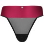 OBSESSIVE - TIENESY TANGA XXL/XXXL por sólo 17,47 €