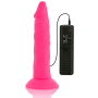Vibrador flexible con mando a distancia 23 cm ROSA por sólo 39,16 €
