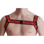 MACHO ARNES ROJO