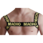 MACHO ARNES AMARILLO