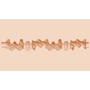 FLESHLIGHT - SKY BRI CELESTIAL VAGINA sólo 79.99€