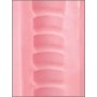 Fleshlight  Pink Mouth por sólo 51,96 €