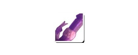 Vibrador rabbit con envío discreto en UniversoSexShop.com